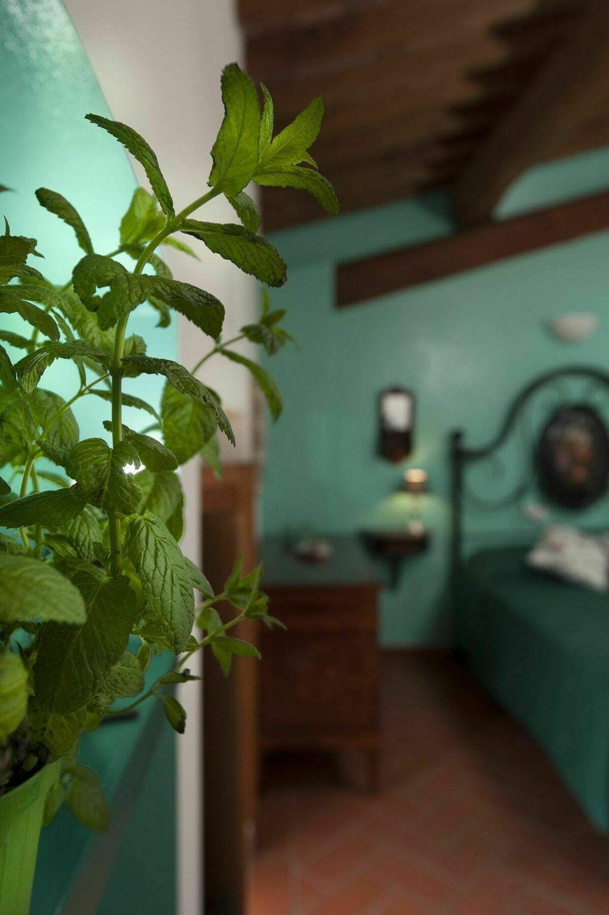 Antico Granaione Bed and Breakfast Rapolano Terme Eksteriør billede