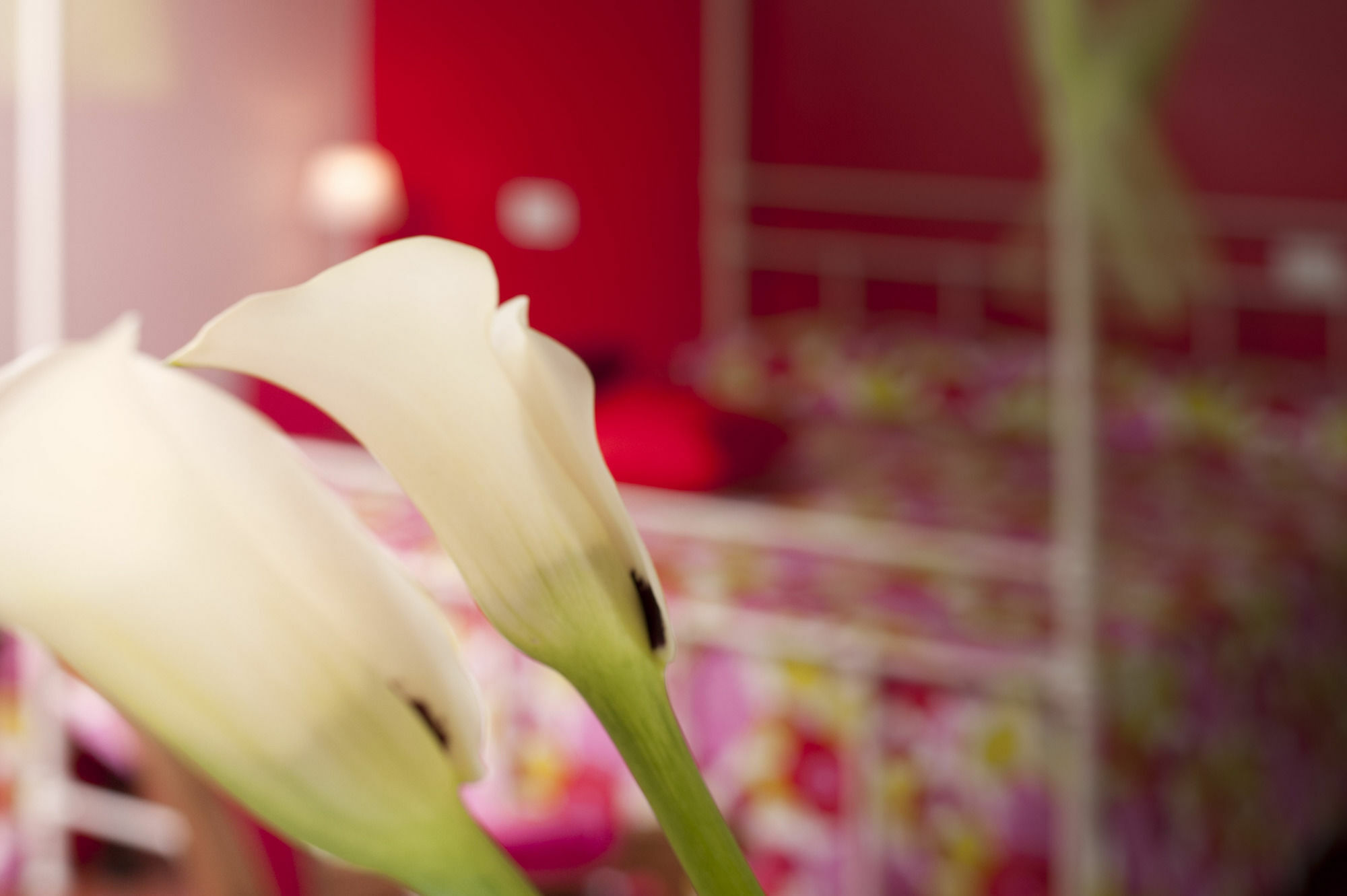 Antico Granaione Bed and Breakfast Rapolano Terme Eksteriør billede